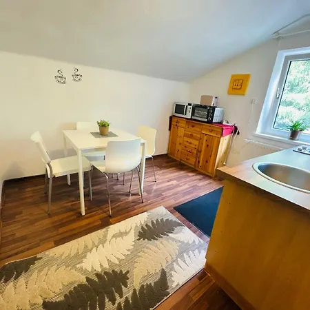 Salzburg Living With Free Parking *